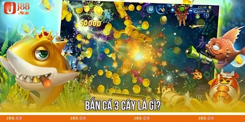 ban-ca-3-cay-la-gi